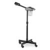 Facial Steamer Esthetician Steamer Timing Professional Aromatherapy Humidifier Face Spa Mist Steam for Home Beauty Salon, Personal Skin Care Deep Clea