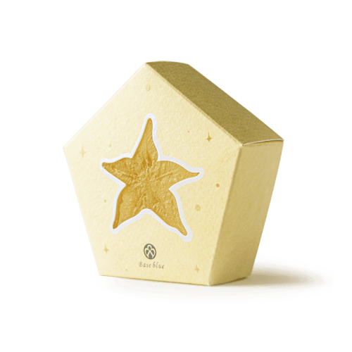 Body/Hand Soap Bar